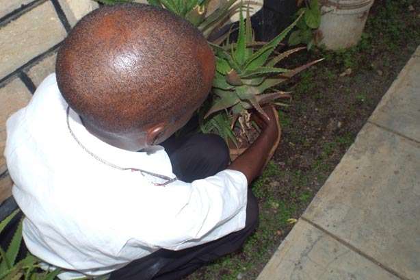 Dennis tending his plants