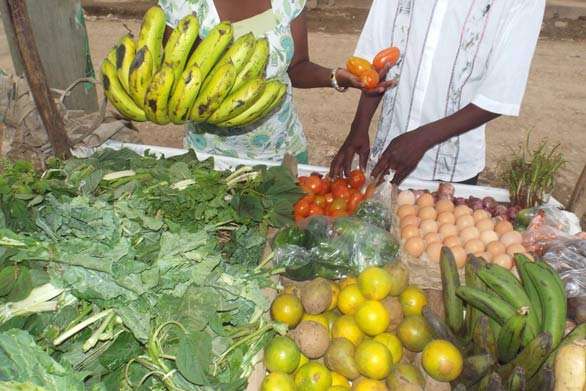 Fruit and veg stall