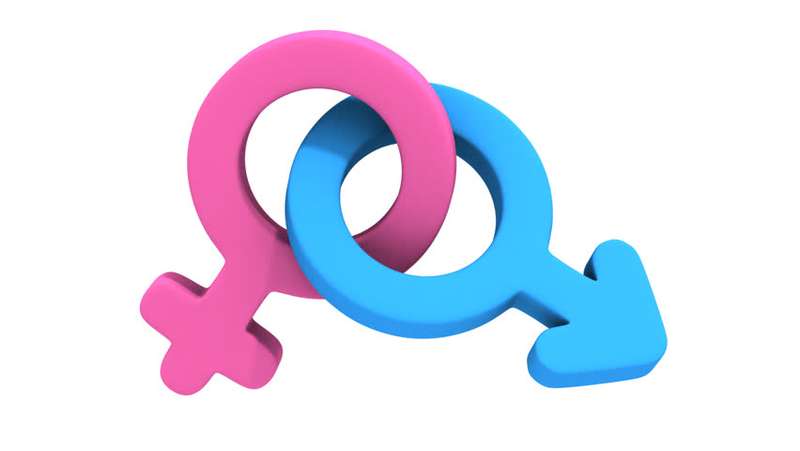 Society and Gender Identity need to talk Society and Gender Identity need to talk